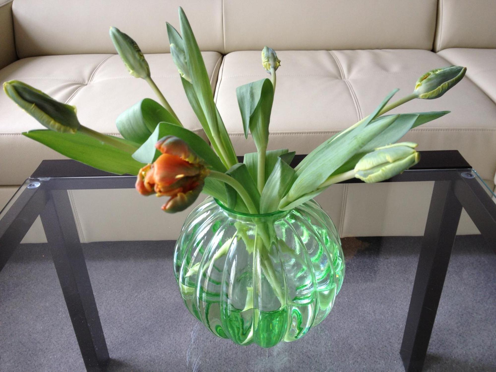 Apartmenthaus Villa Lindenbuehl Mühlhausen Kültér fotó